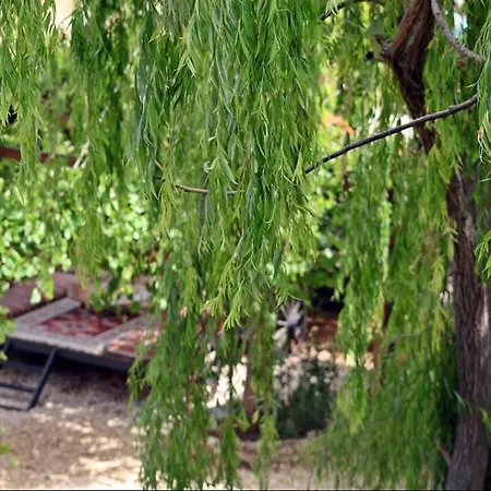 Kas Doga Park Hotel Oda ve Kahvaltı Kaş