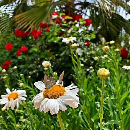 Kas Doga Park Hotel Kaş