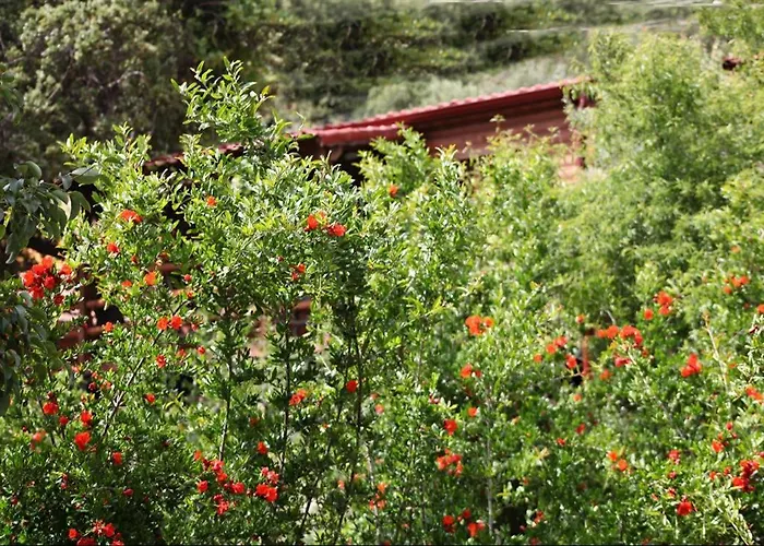 Nocleg ze śniadaniem Kas Doga Park Hotel Kaş