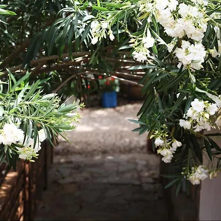 卡斯多嘎公园酒店