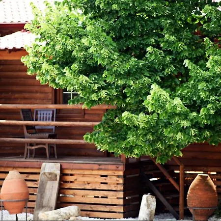 卡斯多嘎公园酒店 卡斯