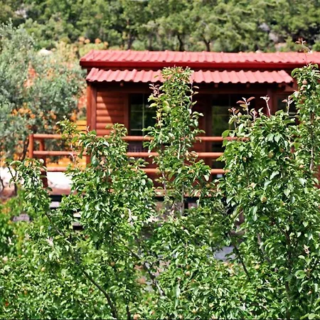 卡斯多嘎公园酒店