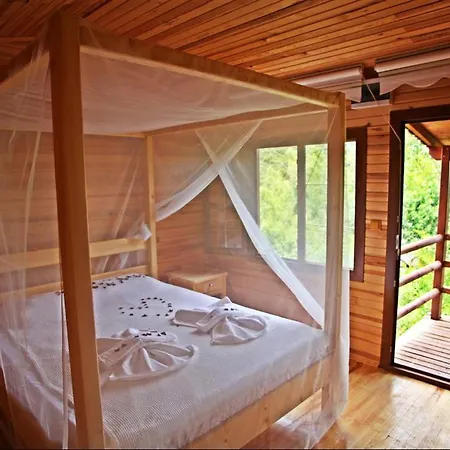 卡斯多嘎公园酒店 卡斯