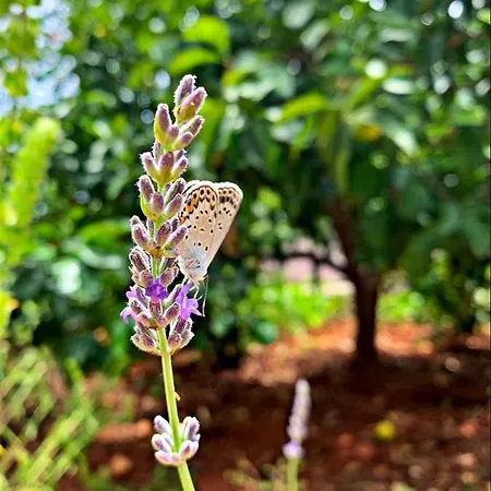 卡斯多嘎公园酒店