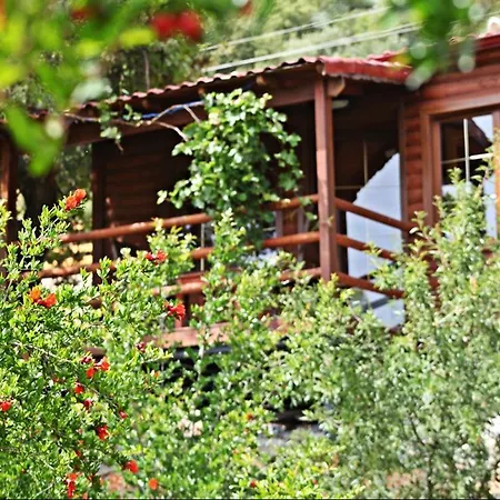 住宿加早餐酒店 卡斯多嘎公园酒店 *