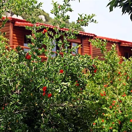 住宿加早餐酒店 卡斯多嘎公园酒店 *