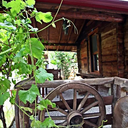 卡斯多嘎公园酒店 *