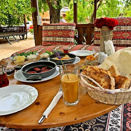 卡斯多嘎公园酒店 *