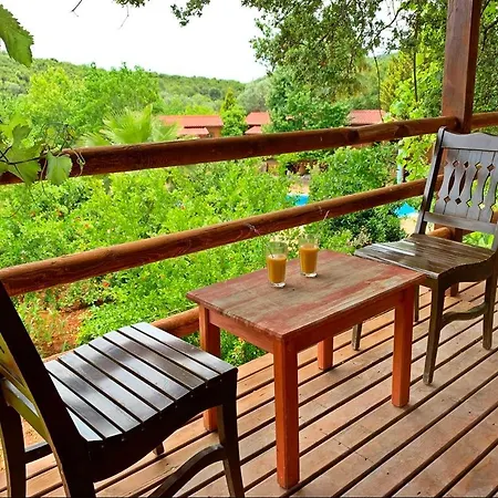 卡斯多嘎公园酒店 卡斯