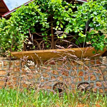 卡斯多嘎公园酒店 卡斯