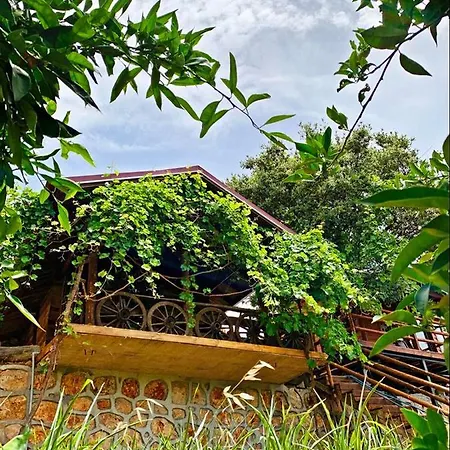 卡斯多嘎公园酒店 卡斯