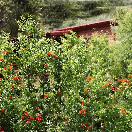 住宿加早餐酒店 卡斯多嘎公园酒店 卡斯