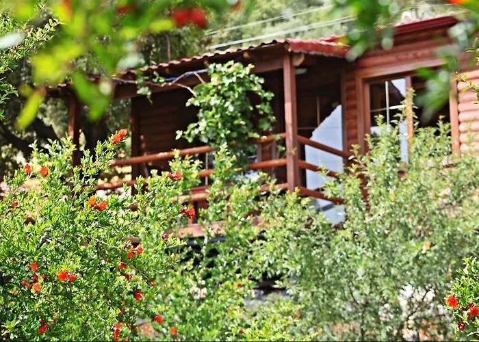 Bed & Breakfast Kas Doga Park Hotel *