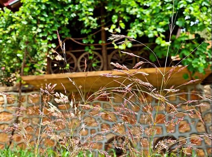 Kas Doga Park Hotel Каш